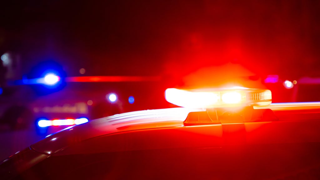 Driver killed in head-on collision with semi in central Minnesota — Elk River Sports news